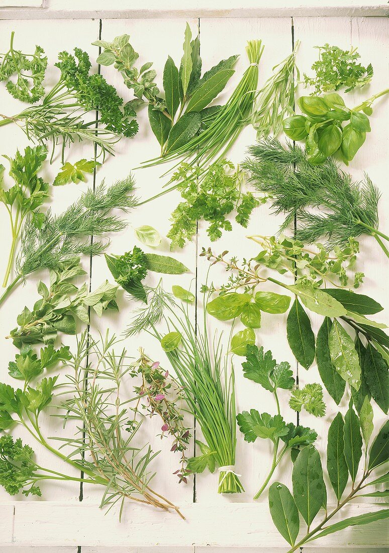 Several Types of Fresh Herbs