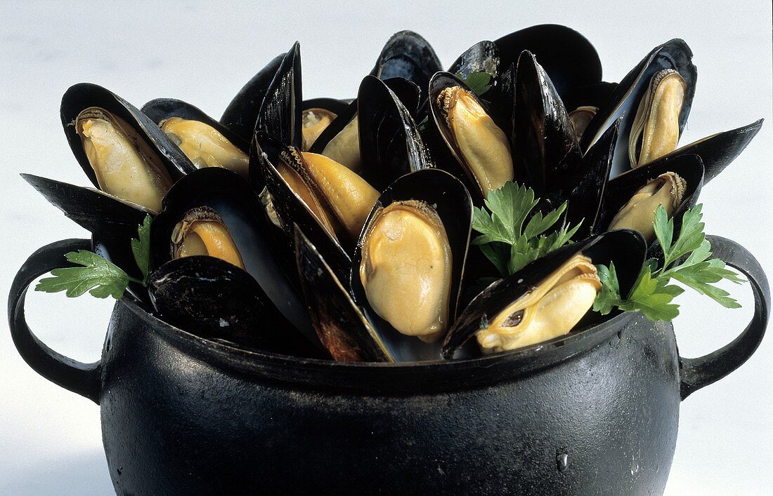 Steamed Mussels in an Iron Pot