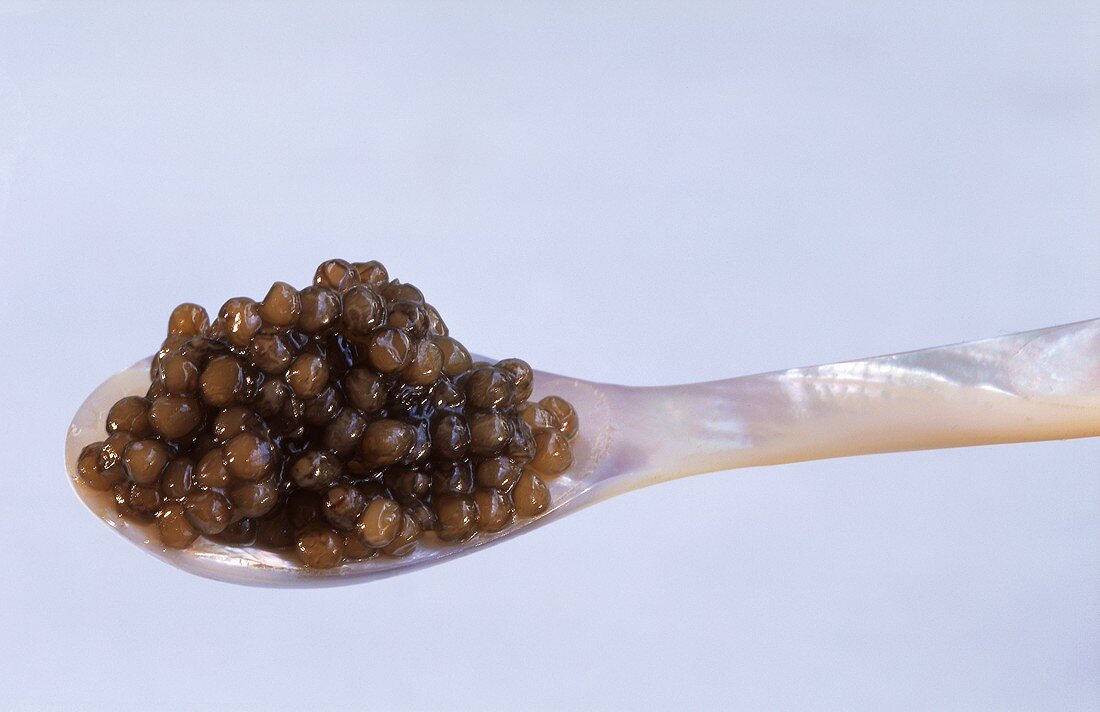 Schwarzer Kaviar auf Perlmuttlöffel