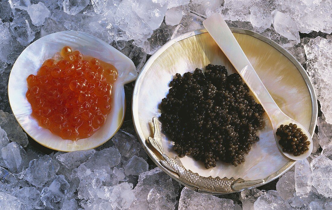 Keta- & Belugakaviar in Perlmuttschalen auf gehacktem Eis