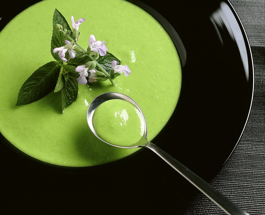 Grüne Suppe mit Minze & Blüten auf Teller & Löffel