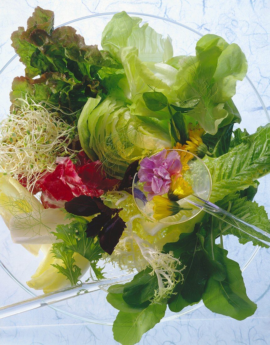 Gemischter Blattsalat mit Sprossen,Blüten auf Salatbesteck