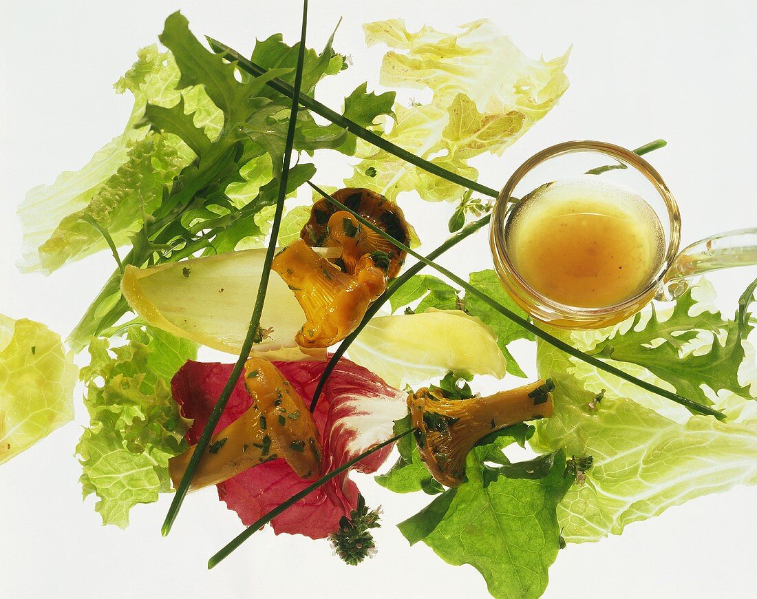 Single salad leaves, chanterelles, vinaigrette on ladle