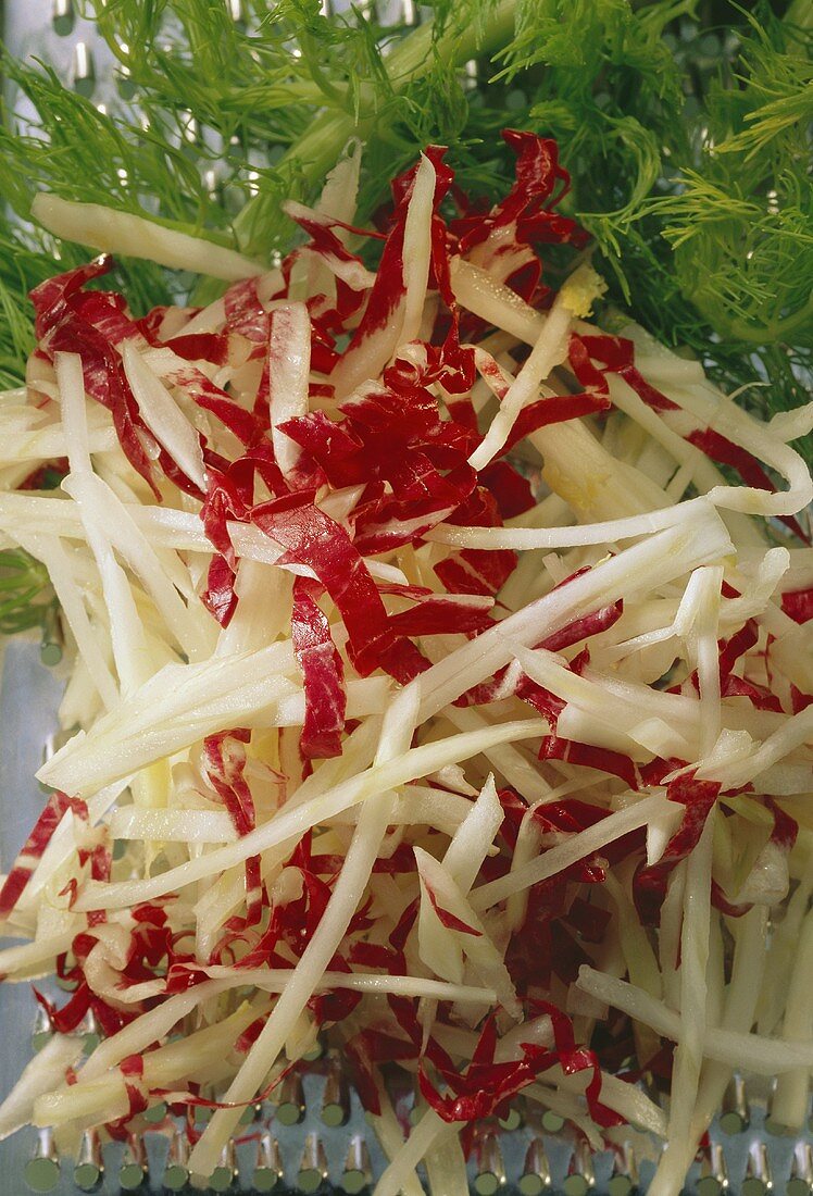 Fennel and radicchio, grated on grater, and fennel leaves