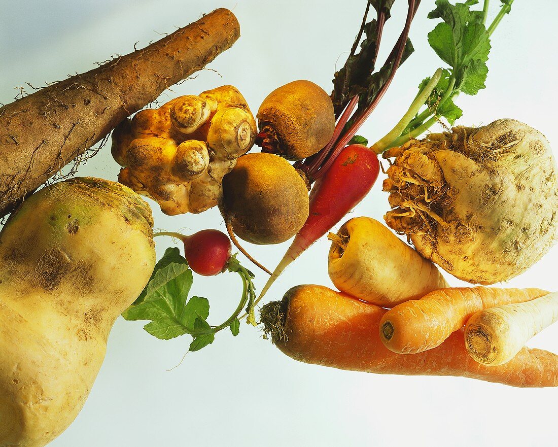 Various types of root and tuberous vegetables