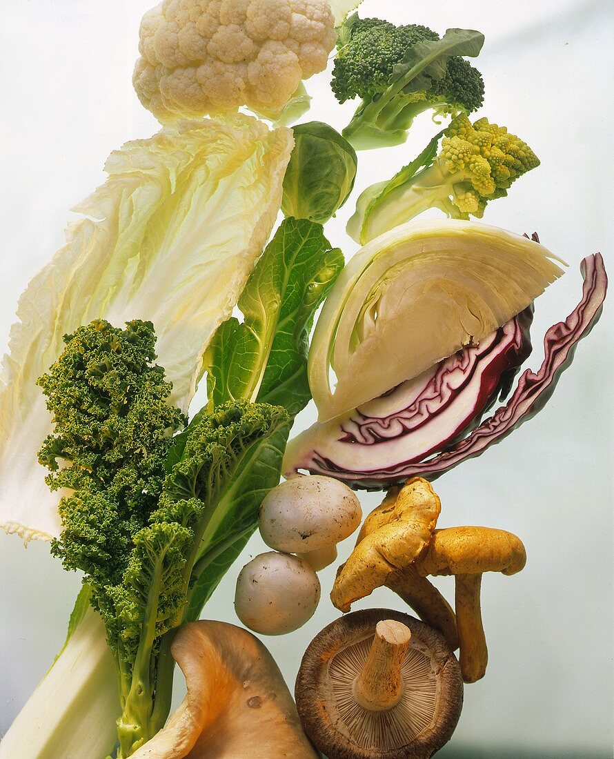 Various types of brassicas and mushrooms