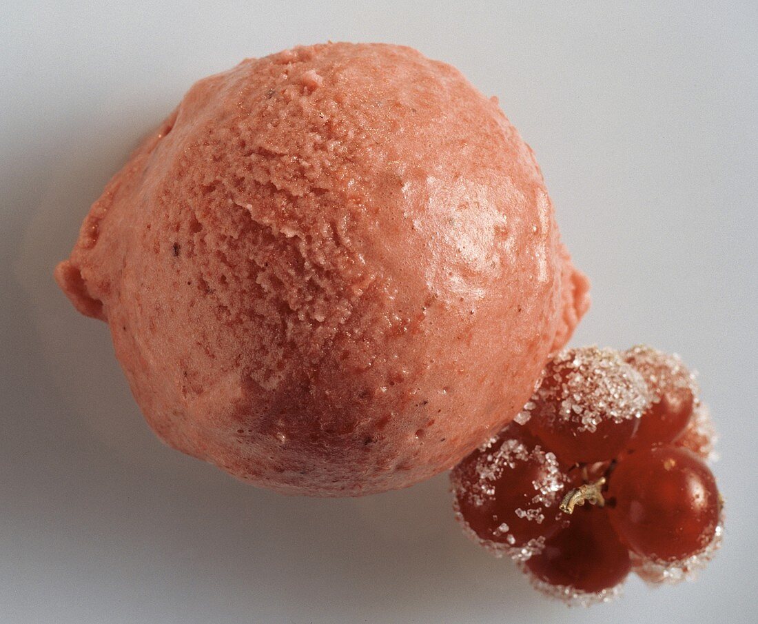 Eine Kugel Johannisbeersorbet & rote Johannisbeeren