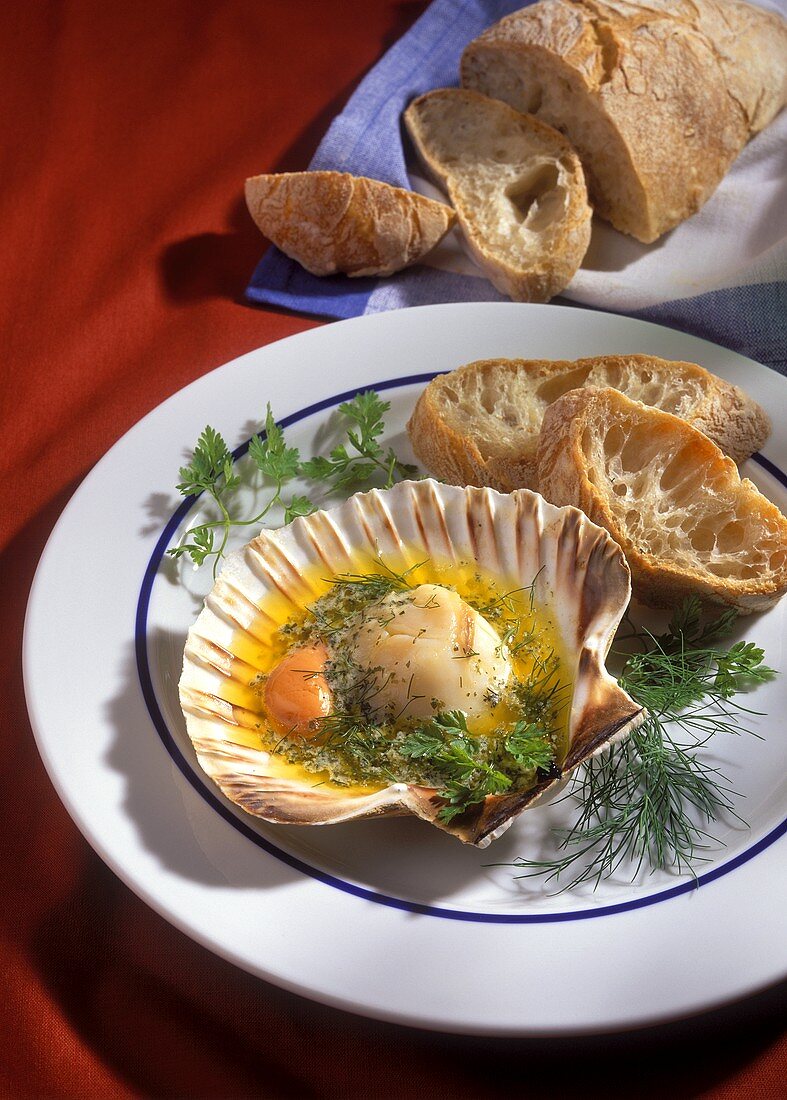 Jakobsmuscheln mit Kräuterbutter in der Schale, mit Weißbrot