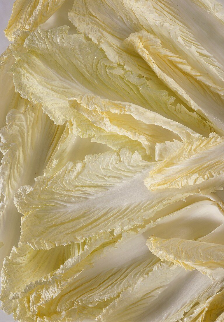 Chinese cabbage leaves