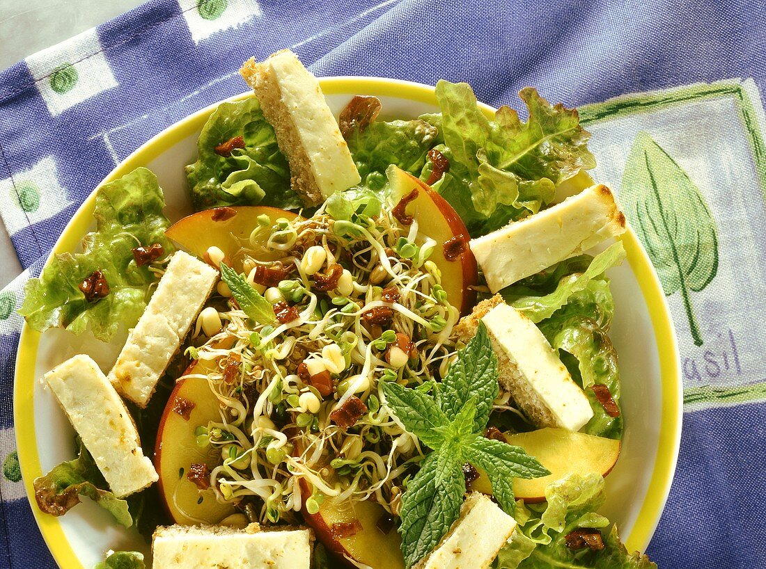 Sprout salad with cheese croutons & nectarines