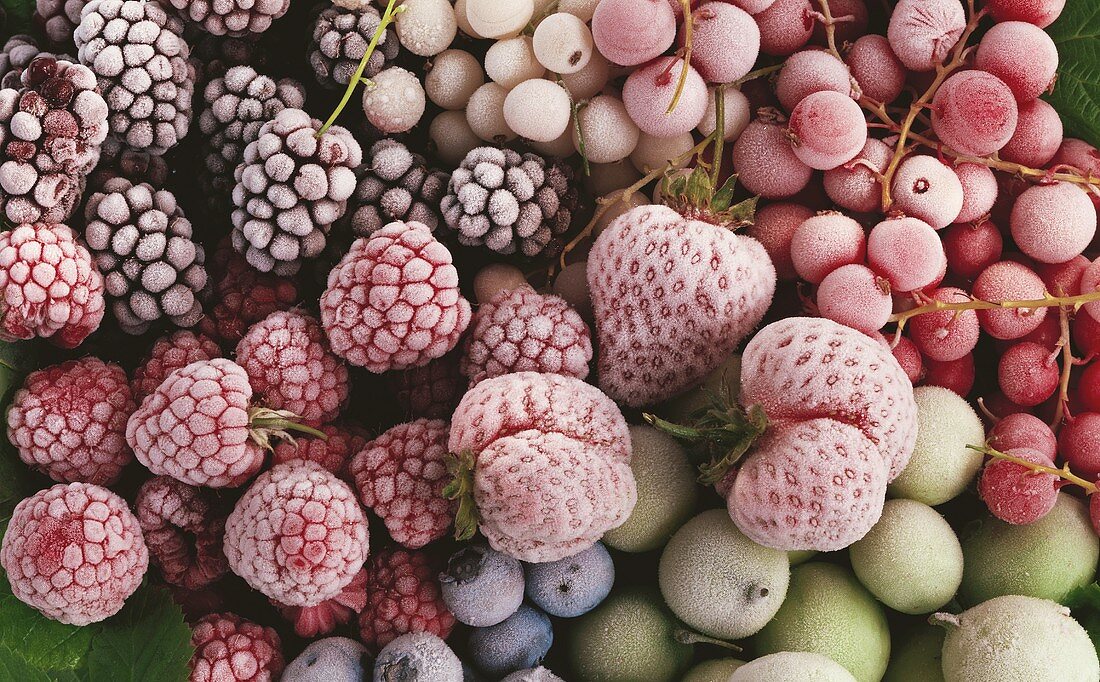 Several Frozen Berries