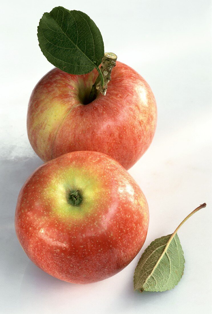 Zwei rote Äpfel (Royal Gala), einer mit Blatt