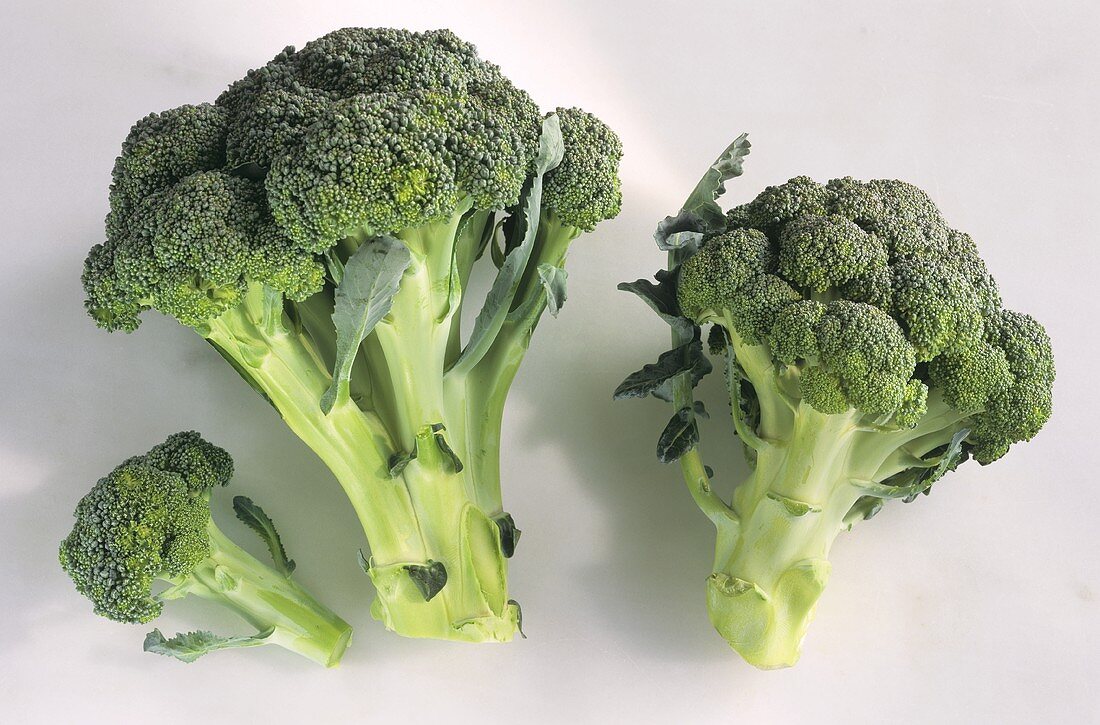 Broccoli on light background