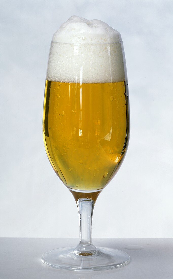 Light beer with head in beer glass