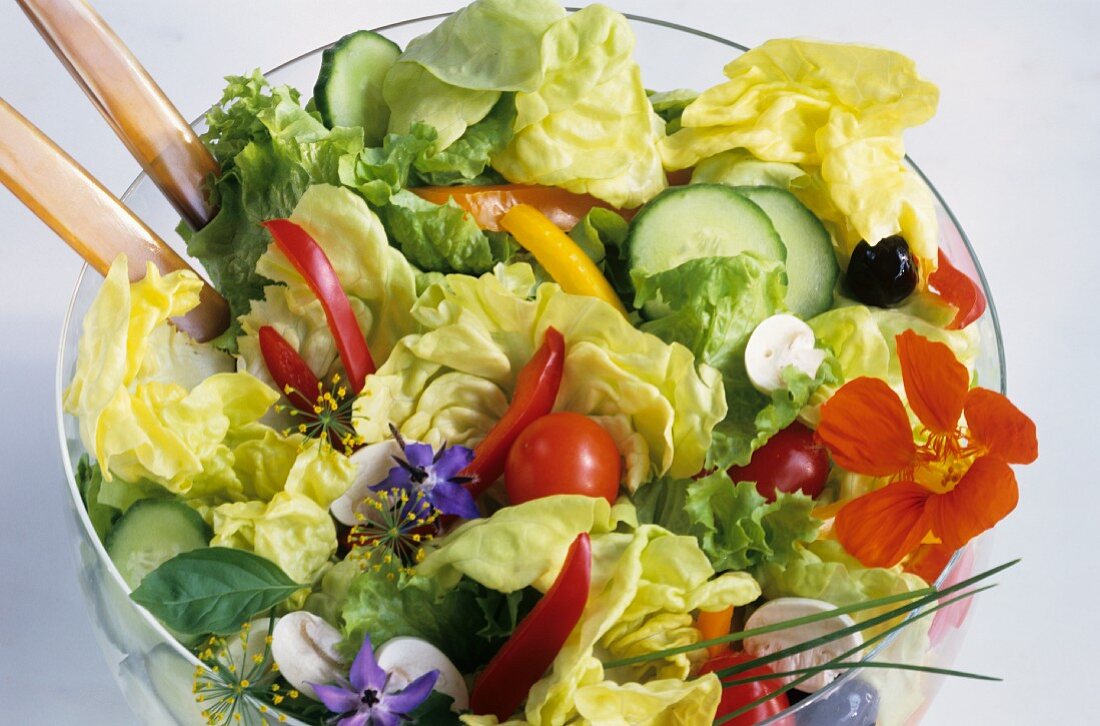 Crisp Green Salad with Assorted Vegetables