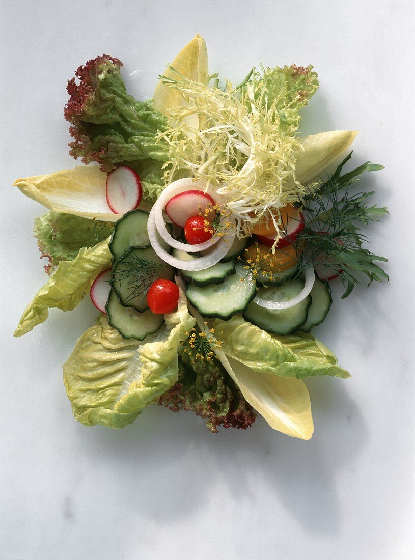 Verschiedene Salatblätter mit Gurken, Zwiebeln, Radieschen