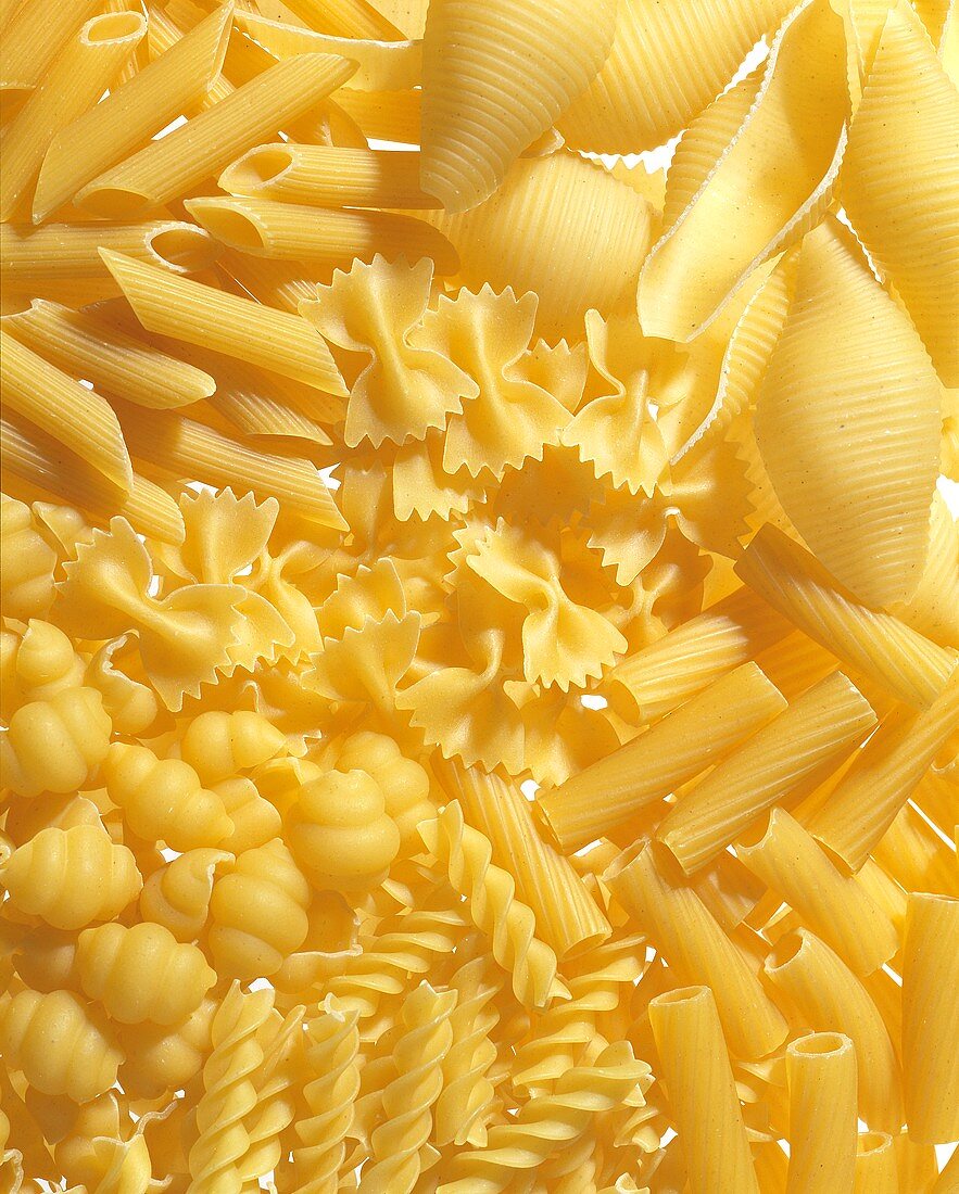 Conchiglione,Penne,Farfalle,Rigatoni,Spiralnudeln,Gnocchi