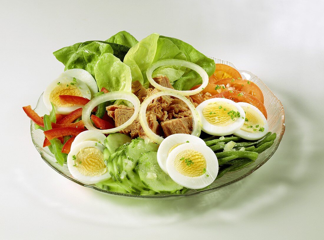Mixed salad plate with tuna, eggs and onion rings