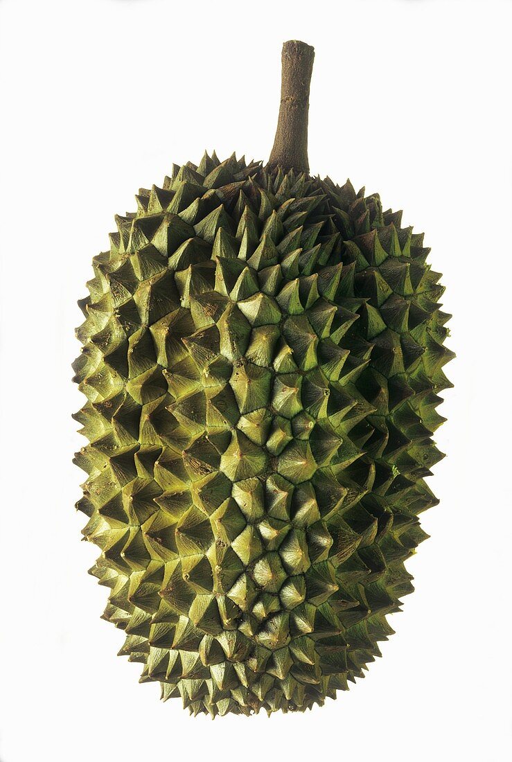 Eine ganze Durian (Stinkfrucht)