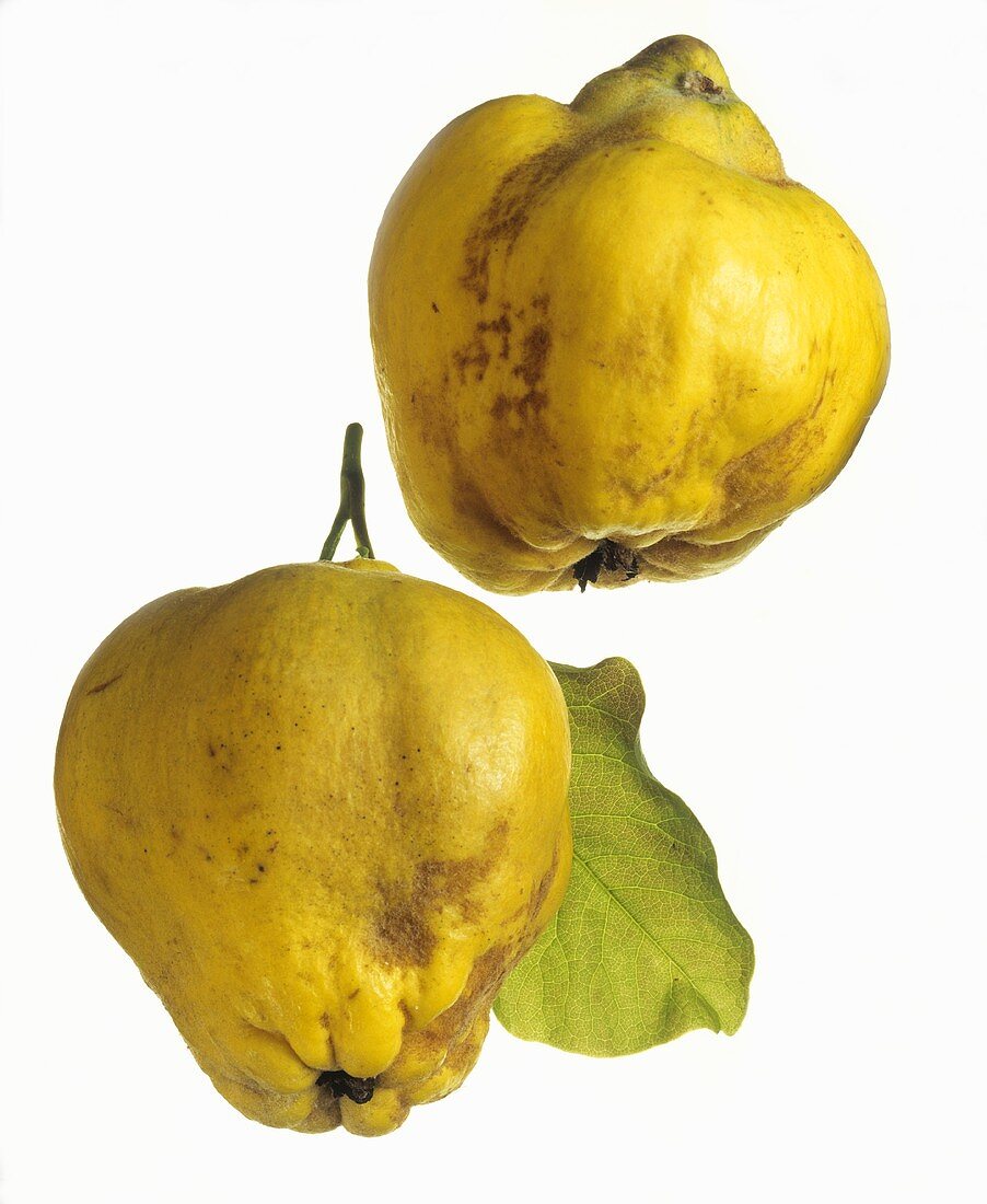 Two Quinces