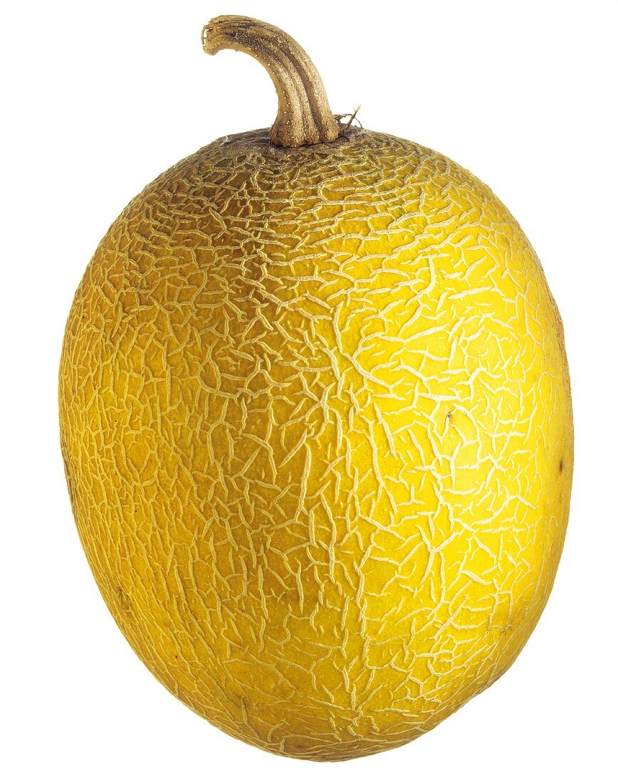 Eine Gallia-Melone