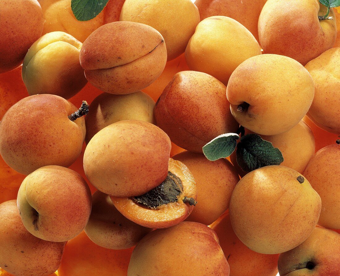 Many Fresh Apricots