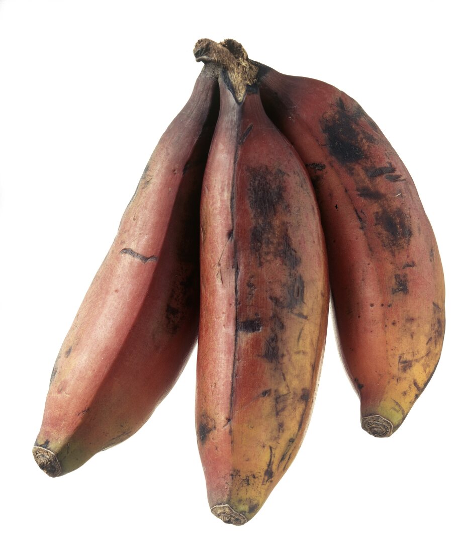 Drei rote Bananen