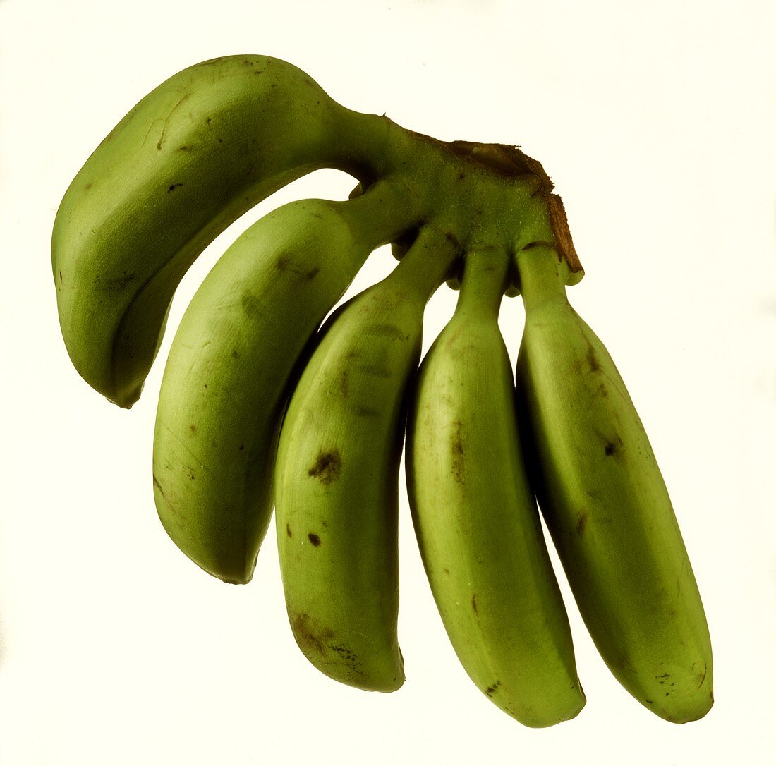 Fünf grüne Bananen