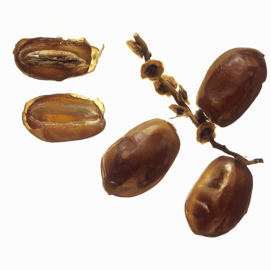 Twig with two dates, single whole date and two halves