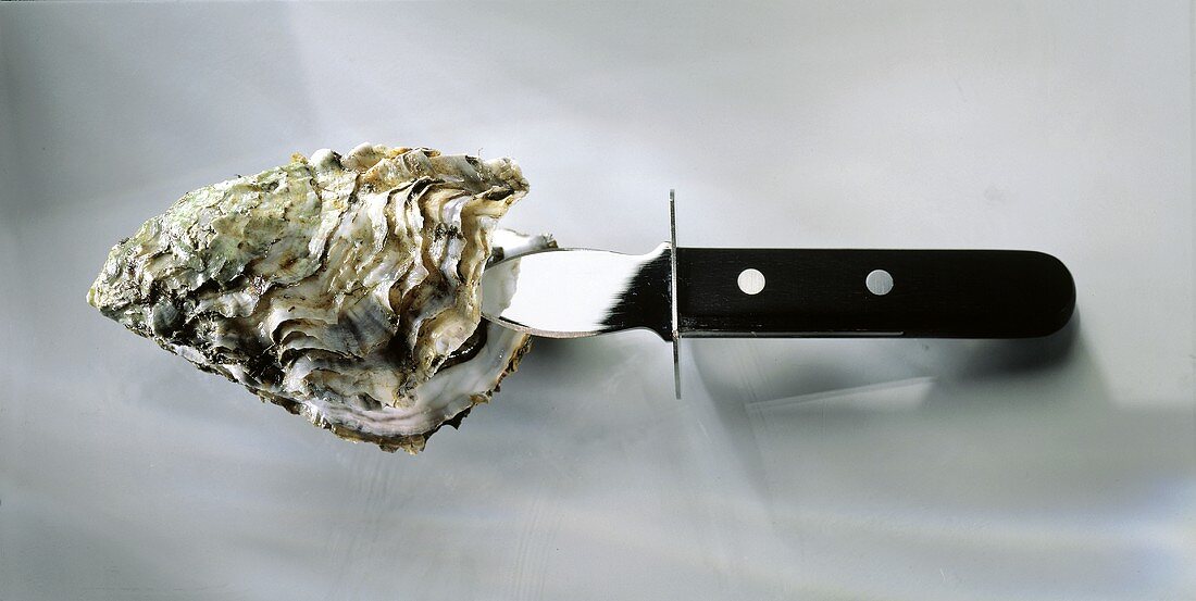 Eine Auster mit Messer (öffnen)
