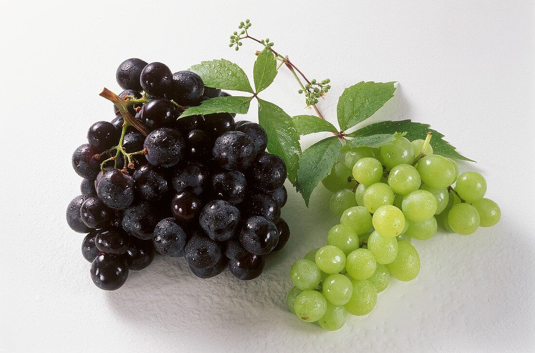 Two Bunches of Grapes