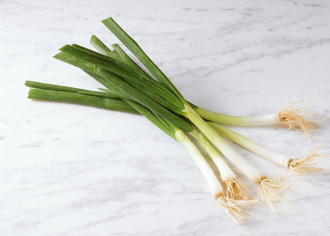Five spring onions on marble background