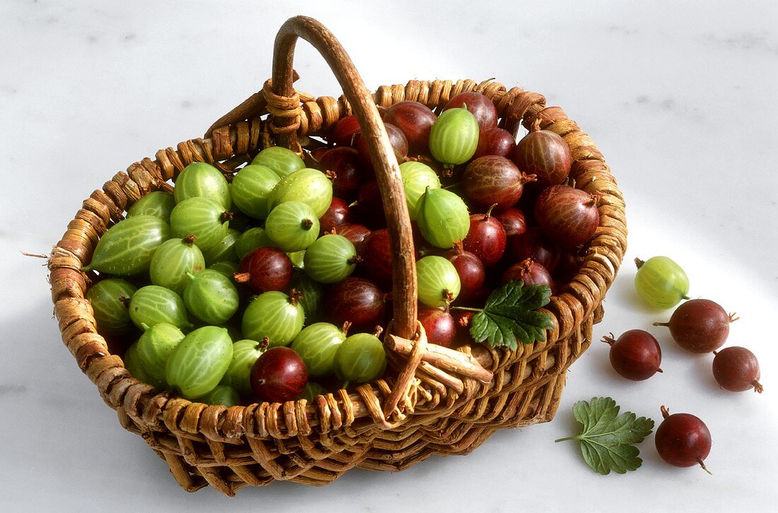Red and green gooseberries in a basket