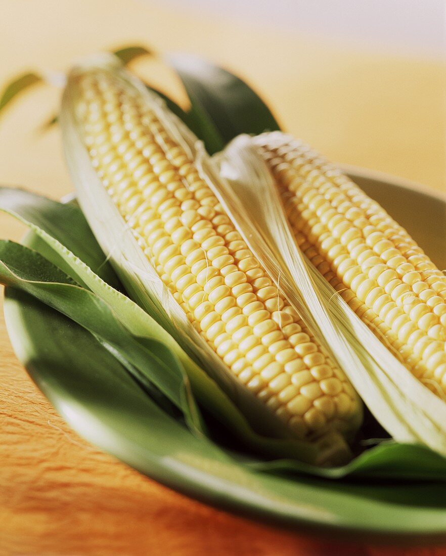Two corncobs on green plate