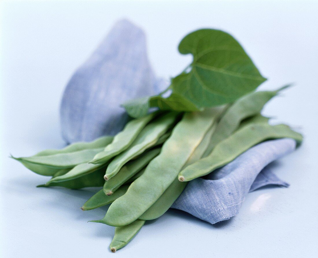 Grüne Bohnen (Stangenbohnen) mit einem Blatt auf blauem Tuch