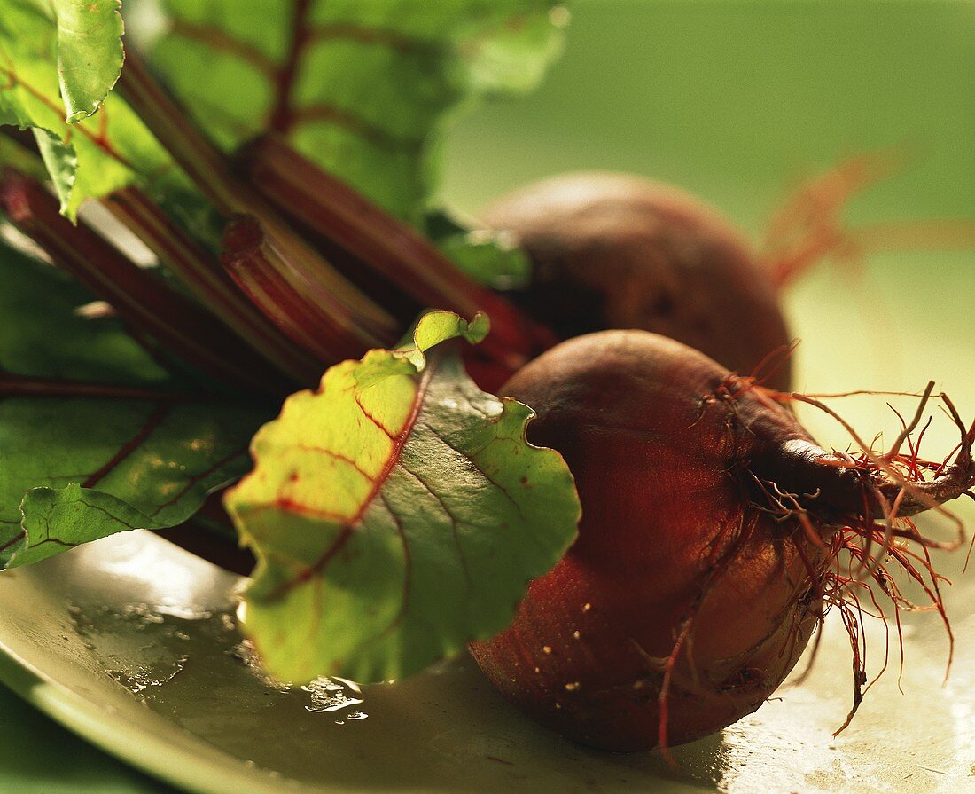 Rote Bete, zwei Knollen mit Stiel & Blättern auf Teller