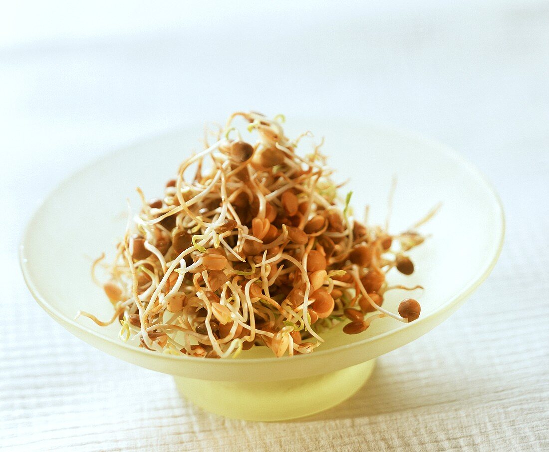 Lentil sprouts in yellow bowl