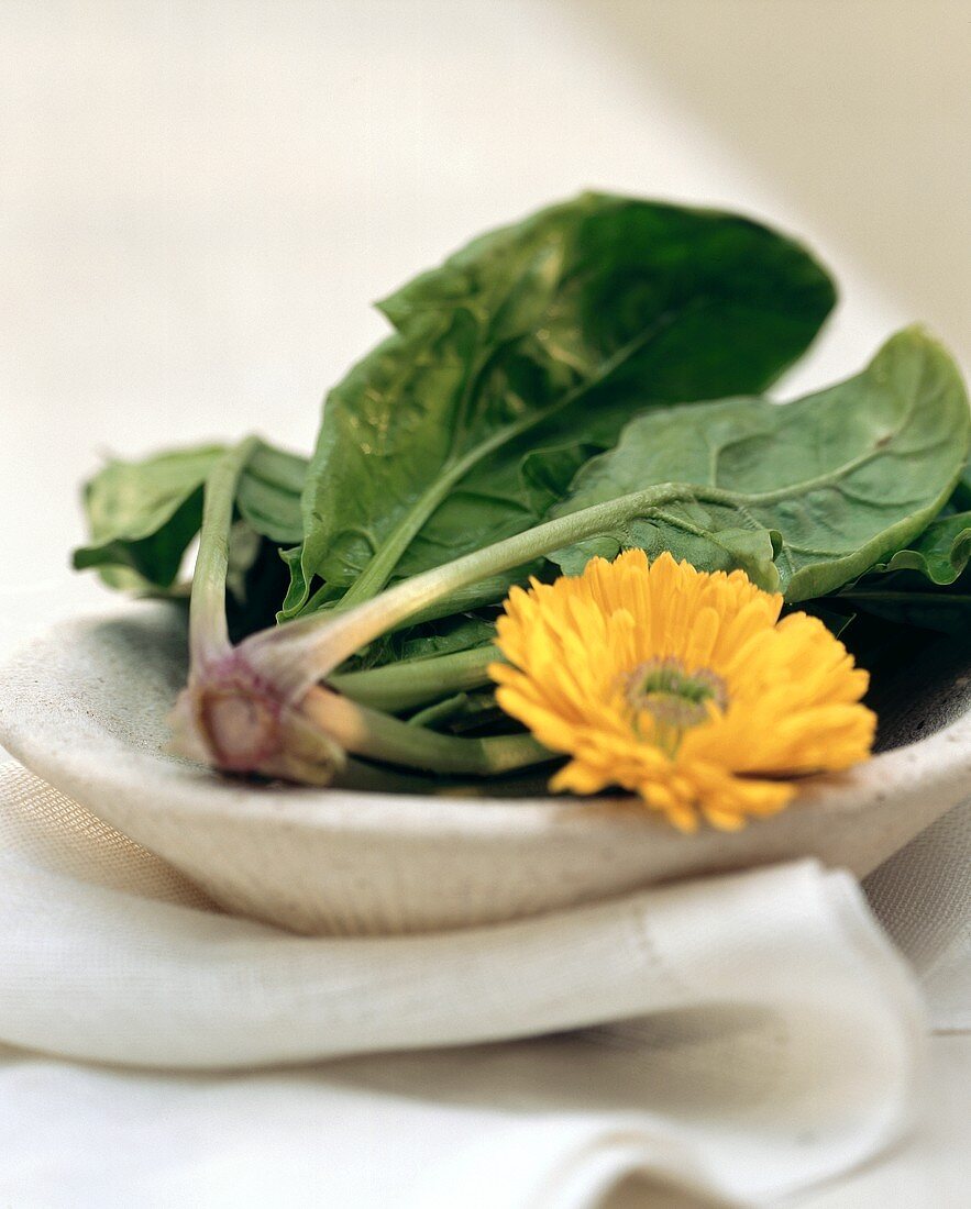 Fresh spinach and a marigold on stone plate