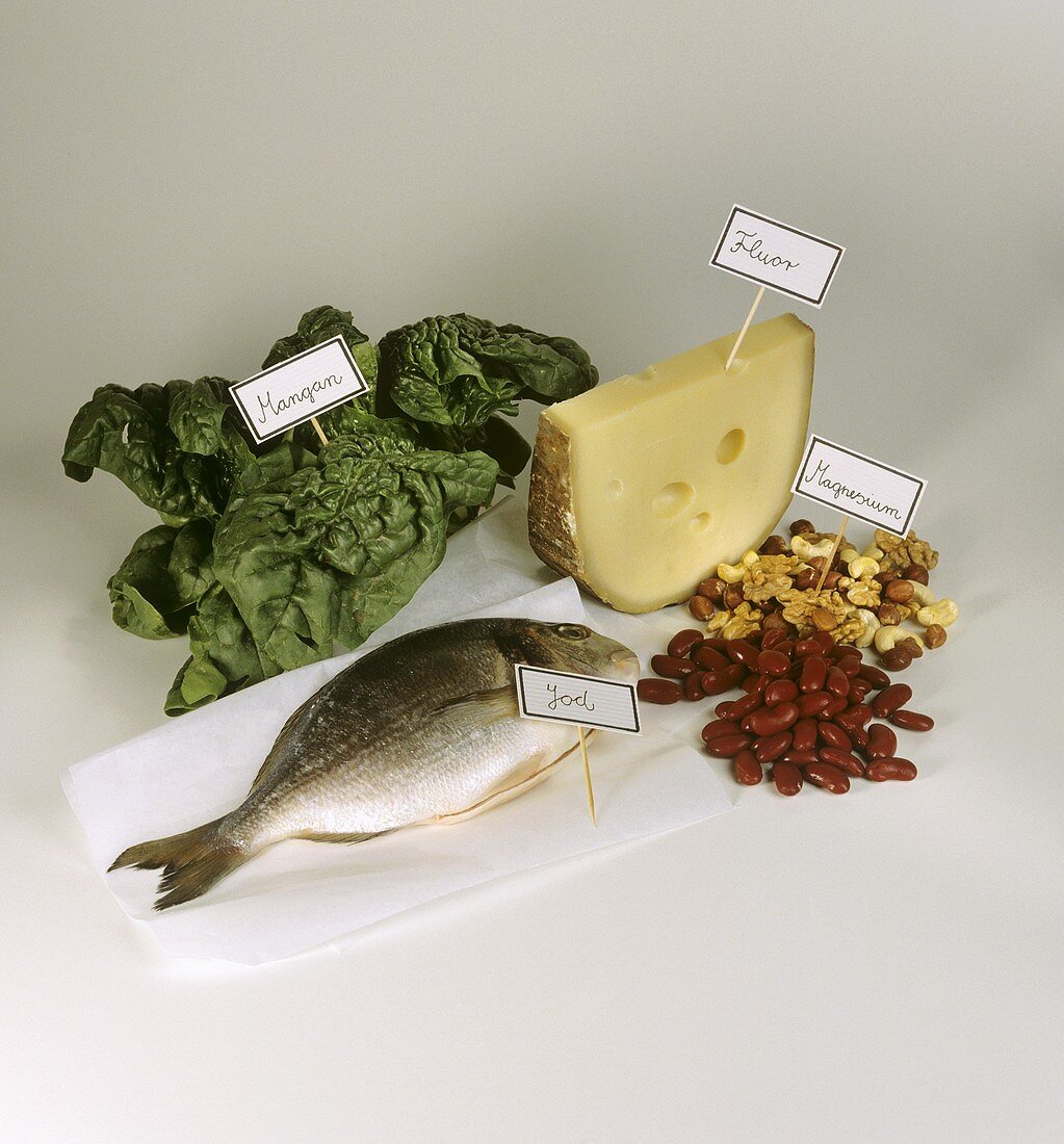 Spinat, Fisch, Käse, Nüsse und rote Bohnen (Mineralstoffe)