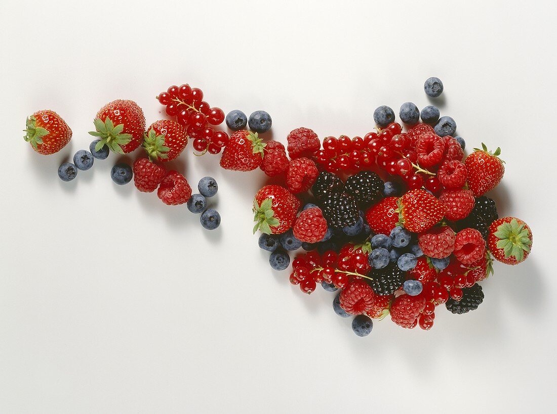 Various types of berries on light background