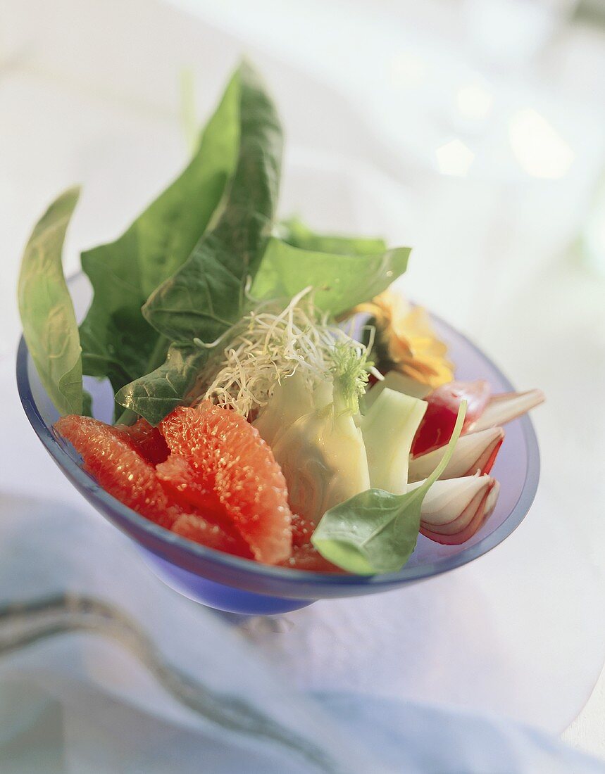 Grapefruit-Zwiebel-Salat auf Spinat mit Fenchel, Sprossen