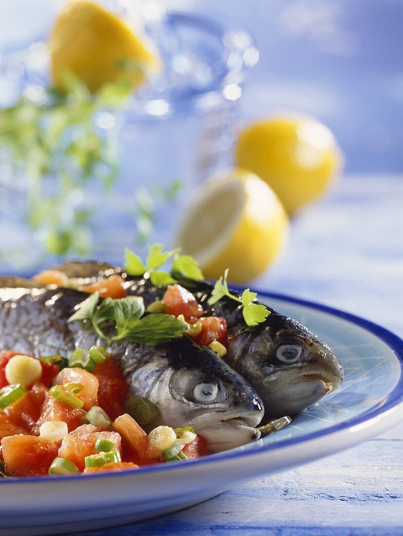 Petersilienforellen aus dem Bratschlauch mit Tomaten