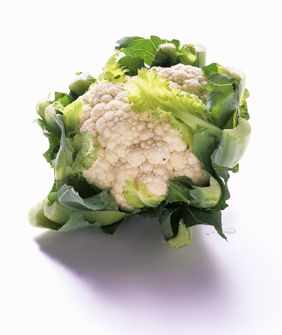 A cauliflower on white background
