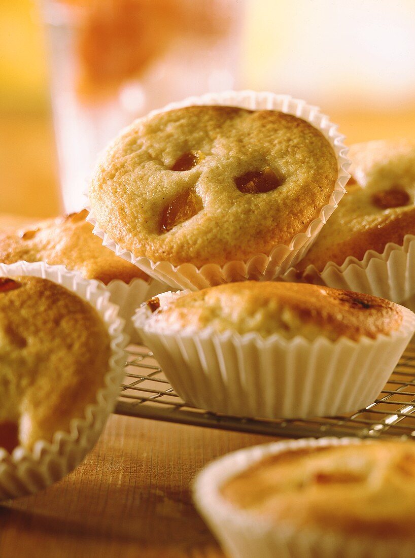 Aprikosen-Muffins in Papierbackförmchen auf Kuchengitter