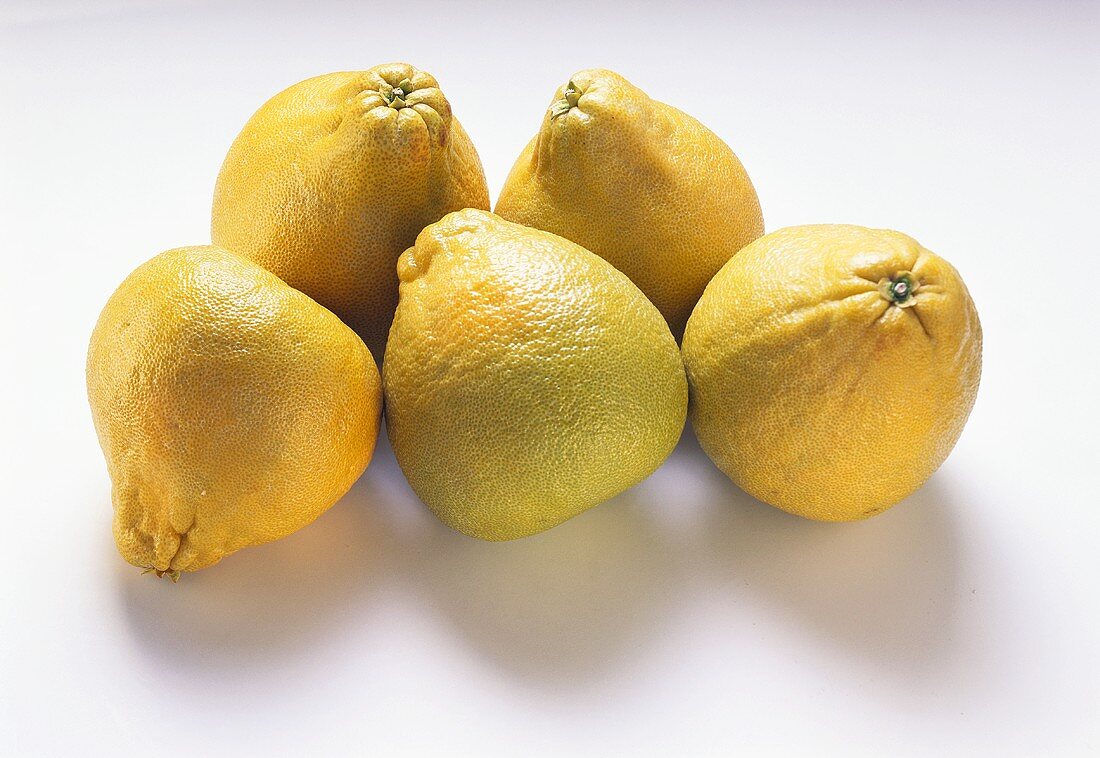 Fünf Pomelos auf weißem Untergrund