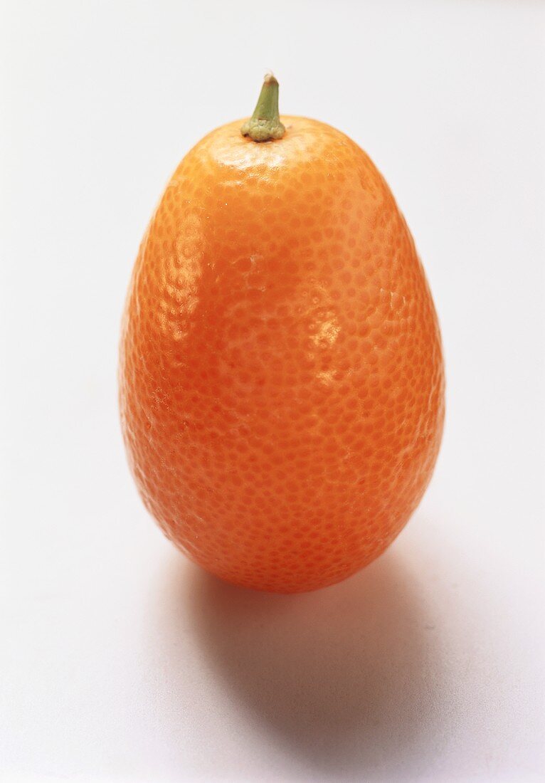 Kumquat auf weißem Untergrund
