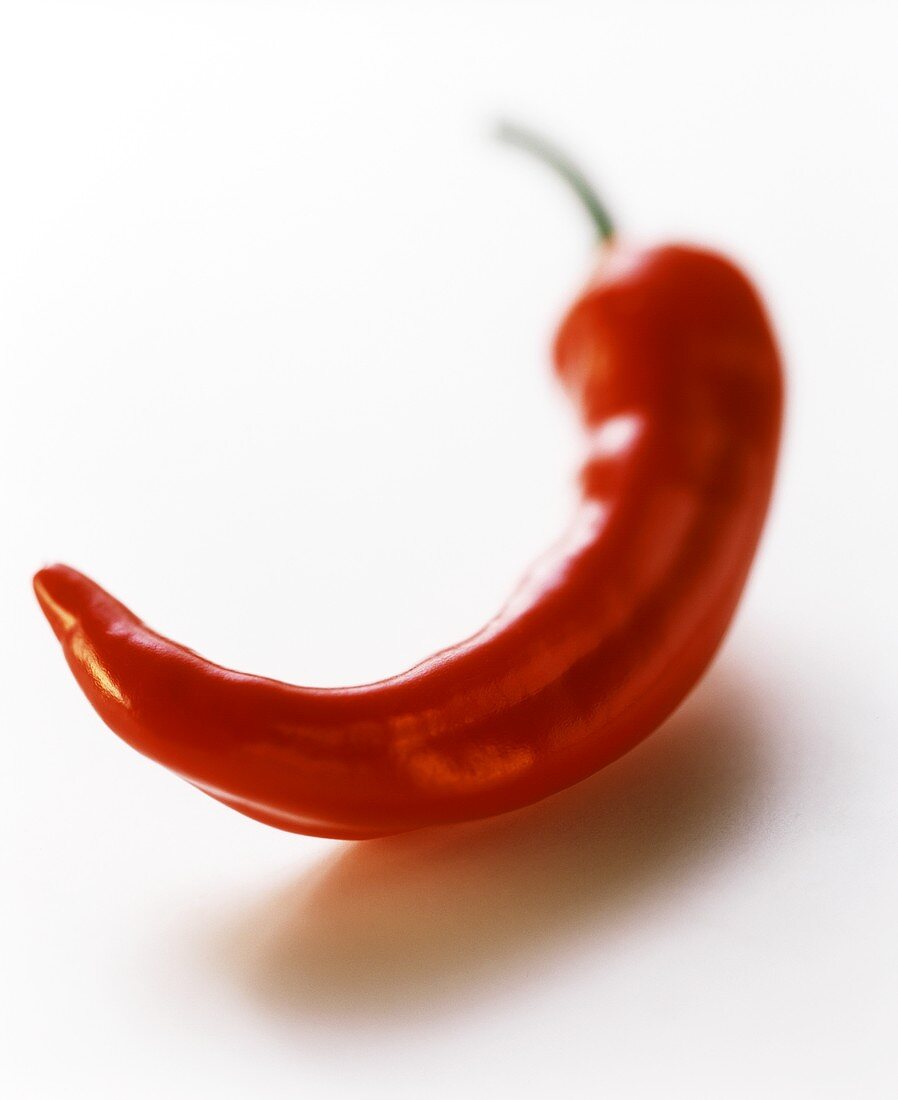 Red chili pepper, curved, on white background