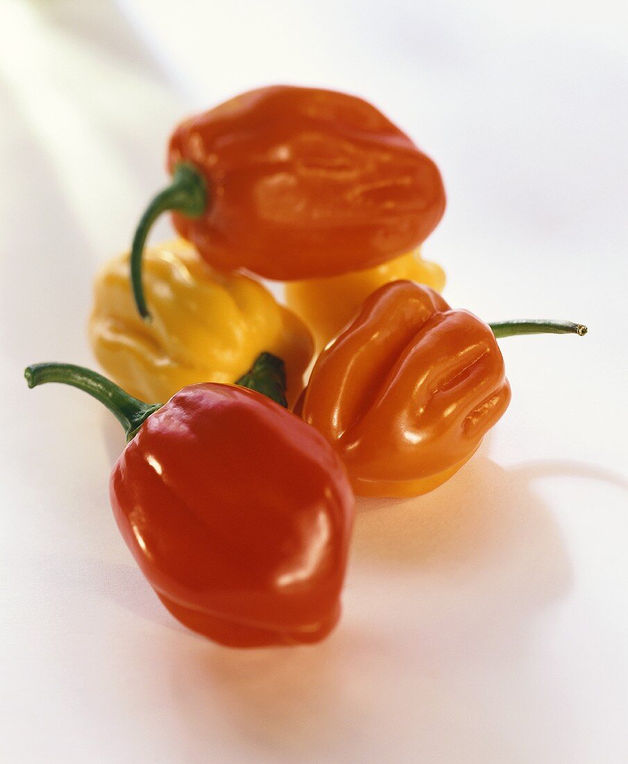 Red and yellow bell peppers on white background