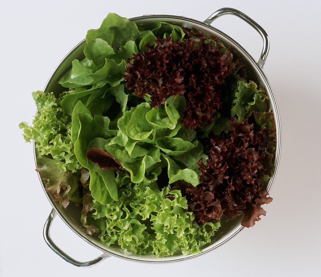 Mixed salad leaves in a strainer