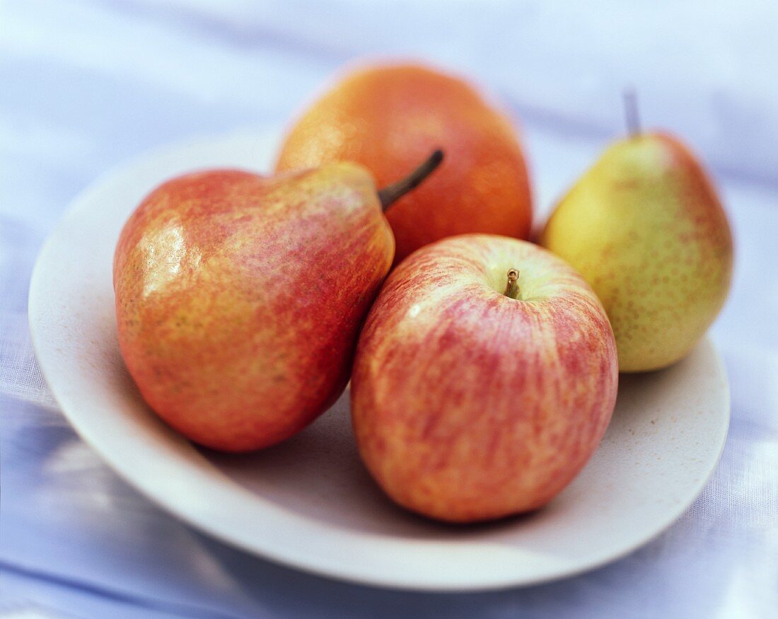 Two apples and pears on a white plate